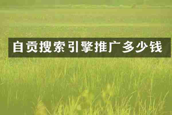 自贡搜索引擎推广多少钱