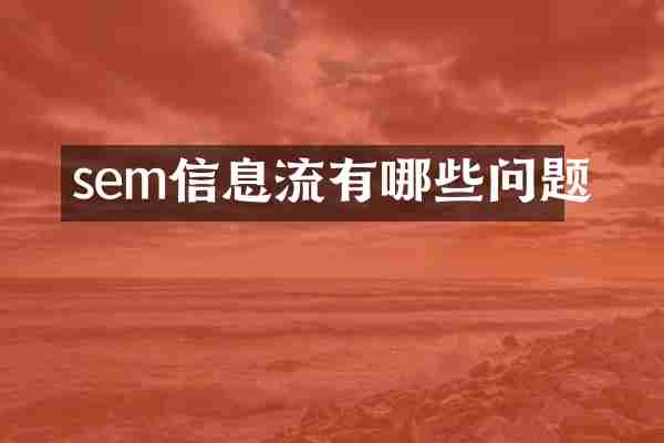 sem信息流有哪些问题
