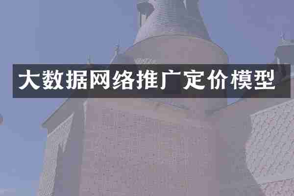 大数据网络推广定价模型