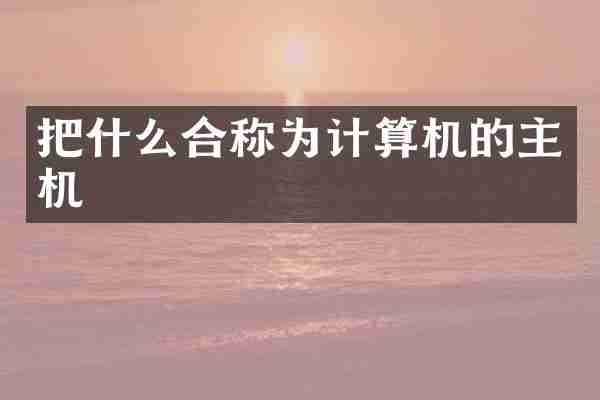 把什么合称为计算机的主机