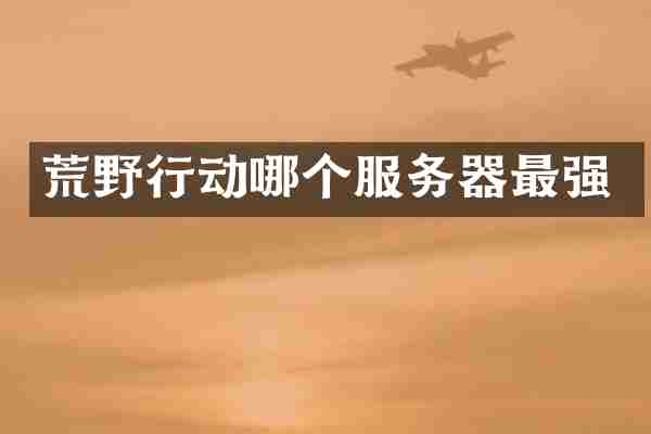 荒野行动哪个服务器最强