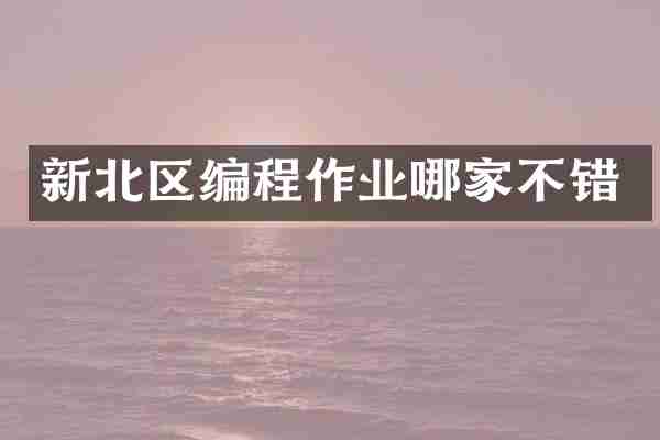 新北区编程作业哪家不错