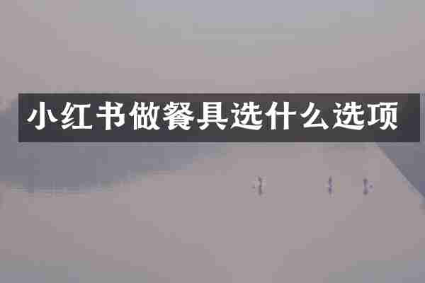 小红书做餐具选什么选项