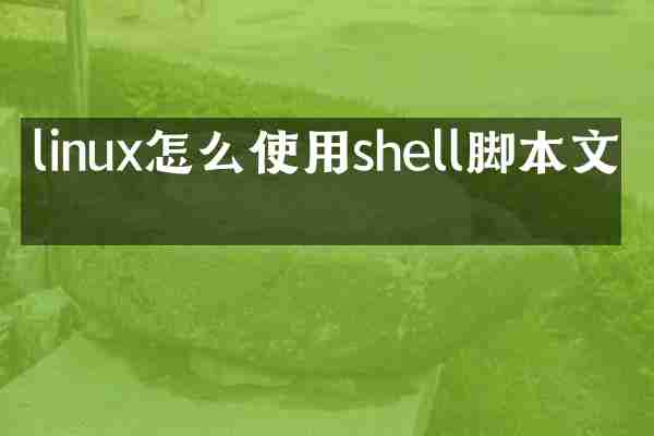 linux怎么使用shell脚本文件