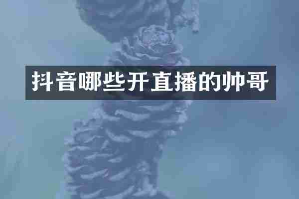 抖音哪些开直播的帅哥