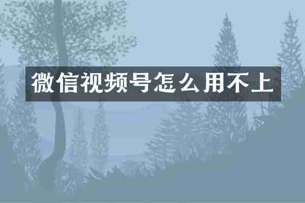 微信视频号怎么用不上
