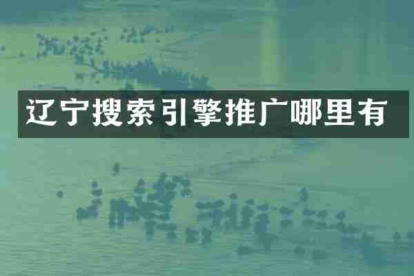 辽宁搜索引擎推广哪里有