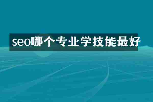 seo哪个专业学技能最好