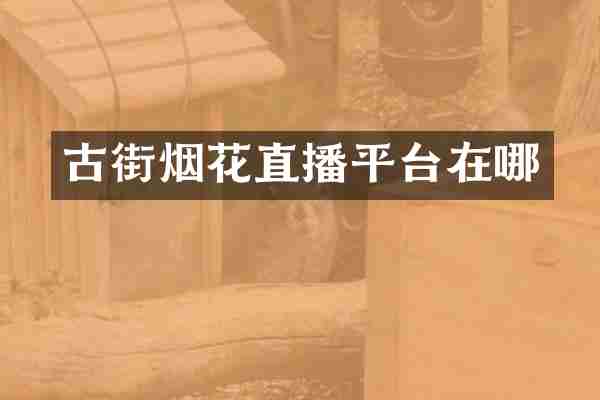 古街烟花直播平台在哪