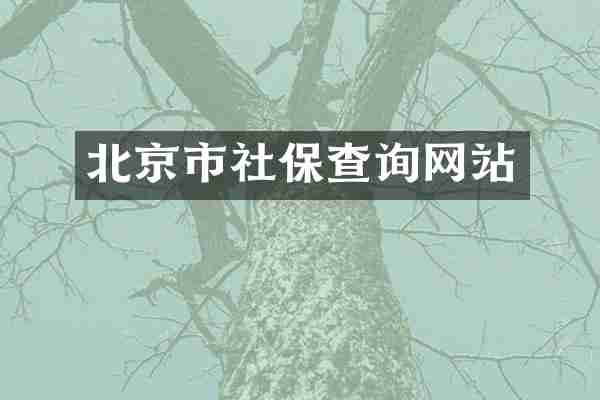 北京市社保查询网站