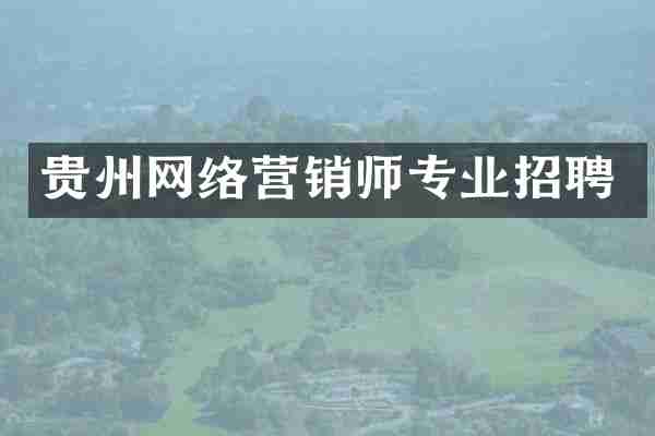 贵州网络营销师专业招聘