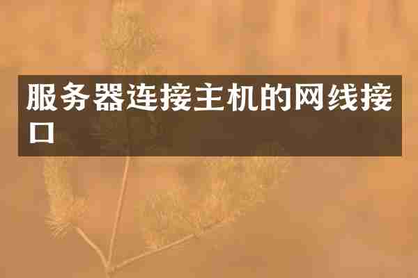 服务器连接主机的网线接口