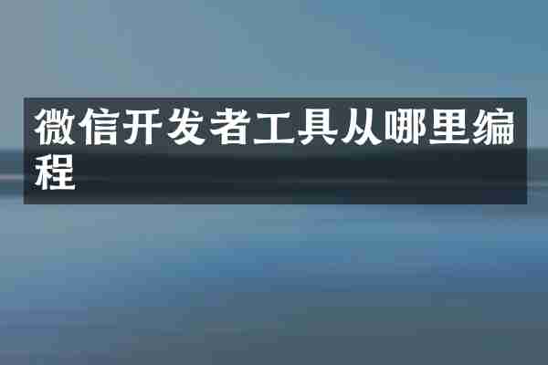 微信开发者工具从哪里编程