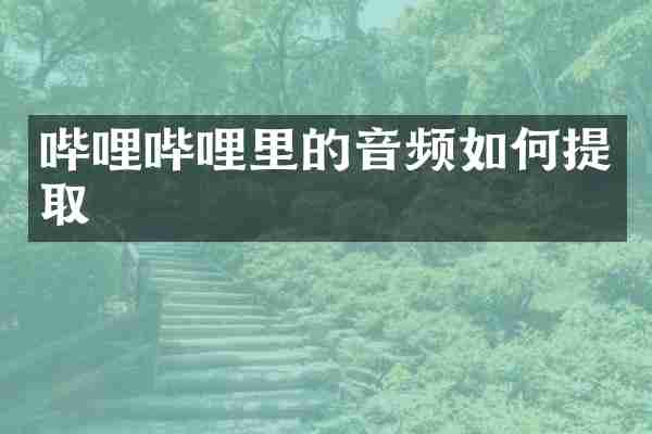 哔哩哔哩里的音频如何提取