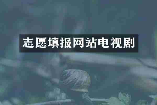 志愿填报网站电视剧