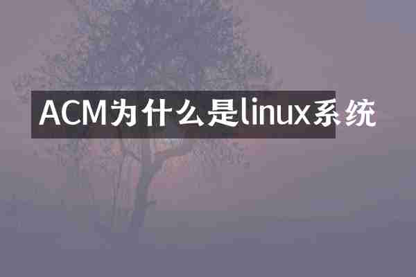 ACM为什么是linux系统