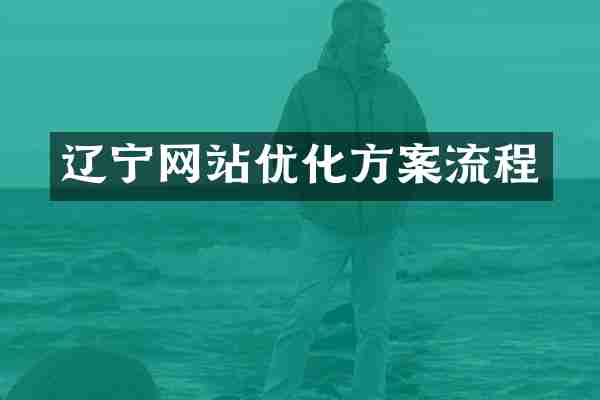 辽宁网站优化方案流程