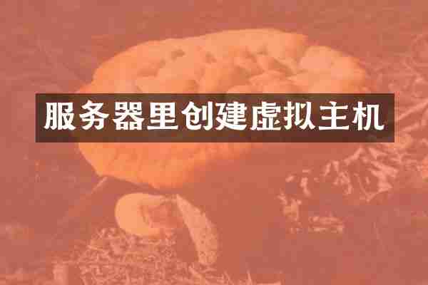 服务器里创建虚拟主机