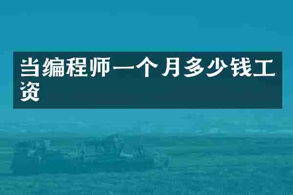 当编程师一个月多少钱工资