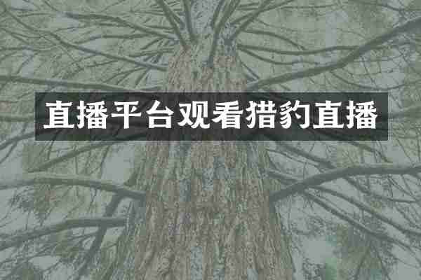 直播平台观看猎豹直播