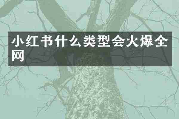 小红书什么类型会火爆全网
