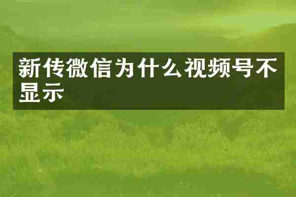 新传微信为什么视频号不显示