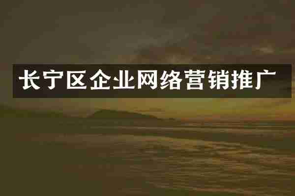长宁区企业网络营销推广