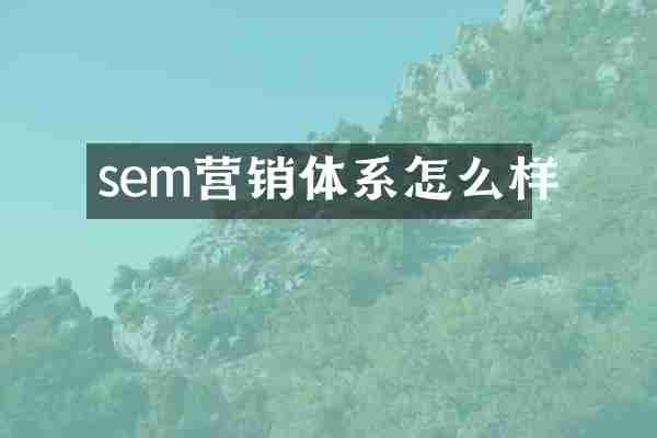 sem营销体系怎么样