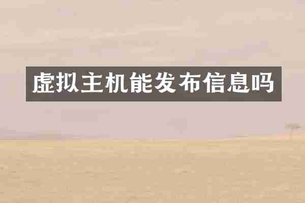 虚拟主机能发布信息吗
