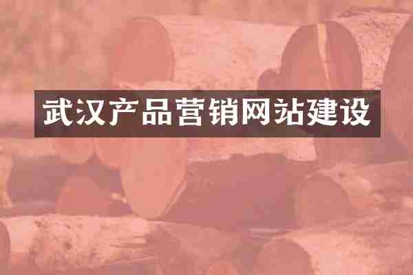 武汉产品营销网站建设