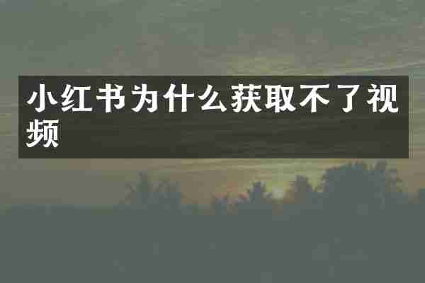 小红书为什么获取不了视频