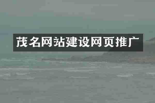 茂名网站建设网页推广