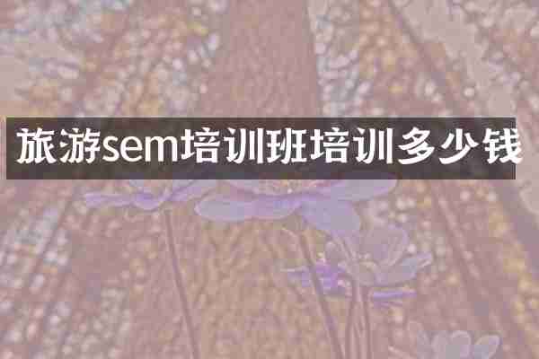 旅游sem培训班培训多少钱