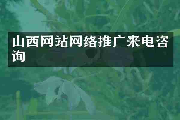 山西网站网络推广来电咨询