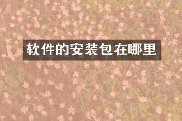 软件的安装包在哪里