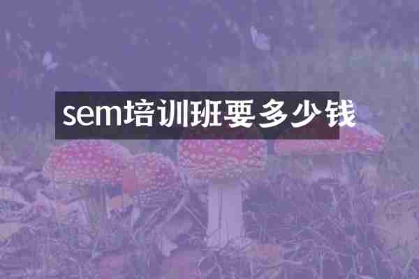 sem培训班要多少钱