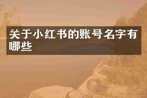 关于小红书的账号名字有哪些