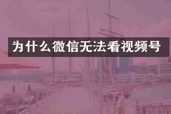 为什么微信无法看视频号