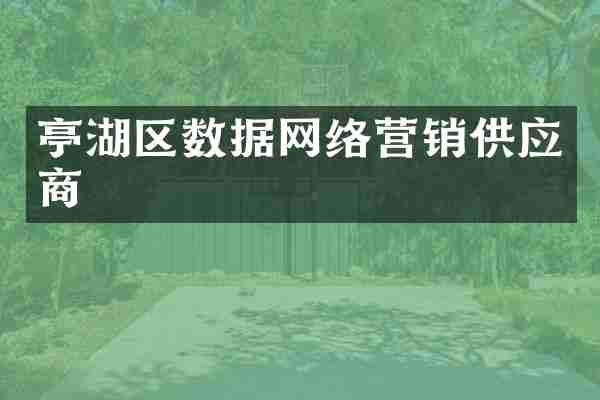 亭湖区数据网络营销供应商