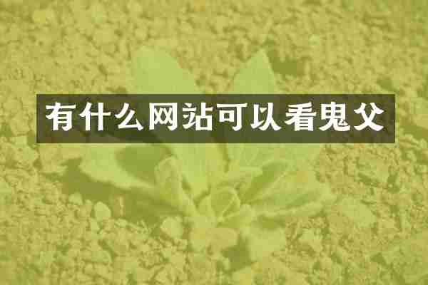 有什么网站可以看鬼父