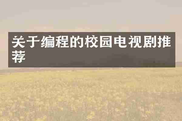 关于编程的校园电视剧推荐