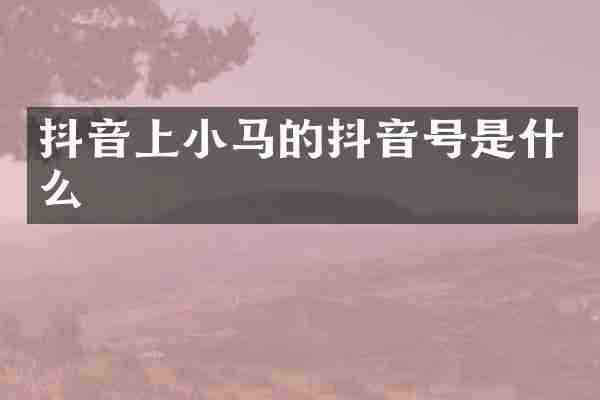 抖音上小马的抖音号是什么