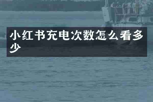 小红书充电次数怎么看多少