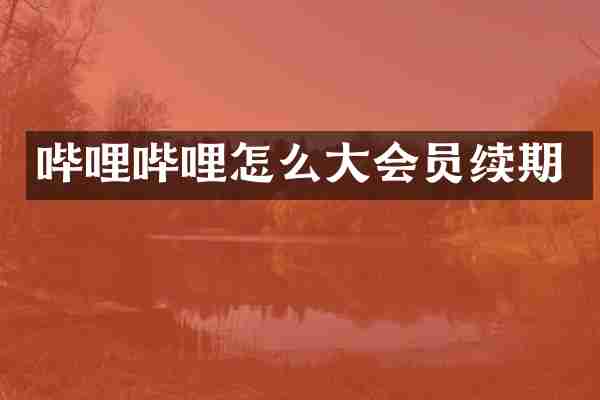 哔哩哔哩怎么大会员续期