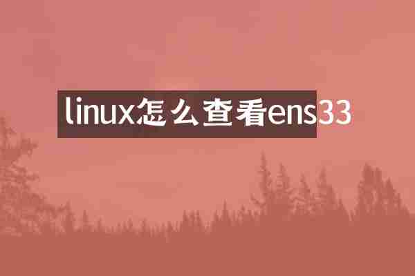 linux怎么查看ens33