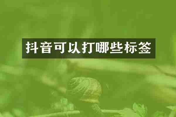 抖音可以打哪些标签