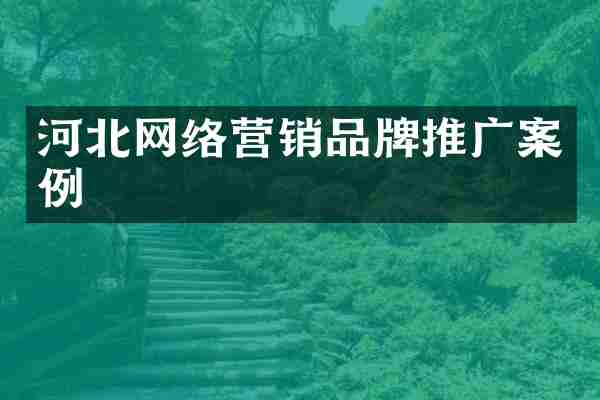 河北网络营销品牌推广案例
