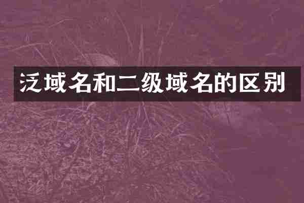 泛域名和二级域名的区别