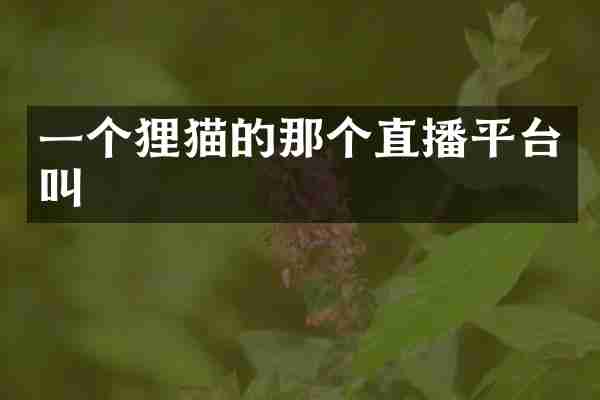 一个狸猫的那个直播平台叫