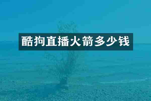 酷狗直播火箭多少钱